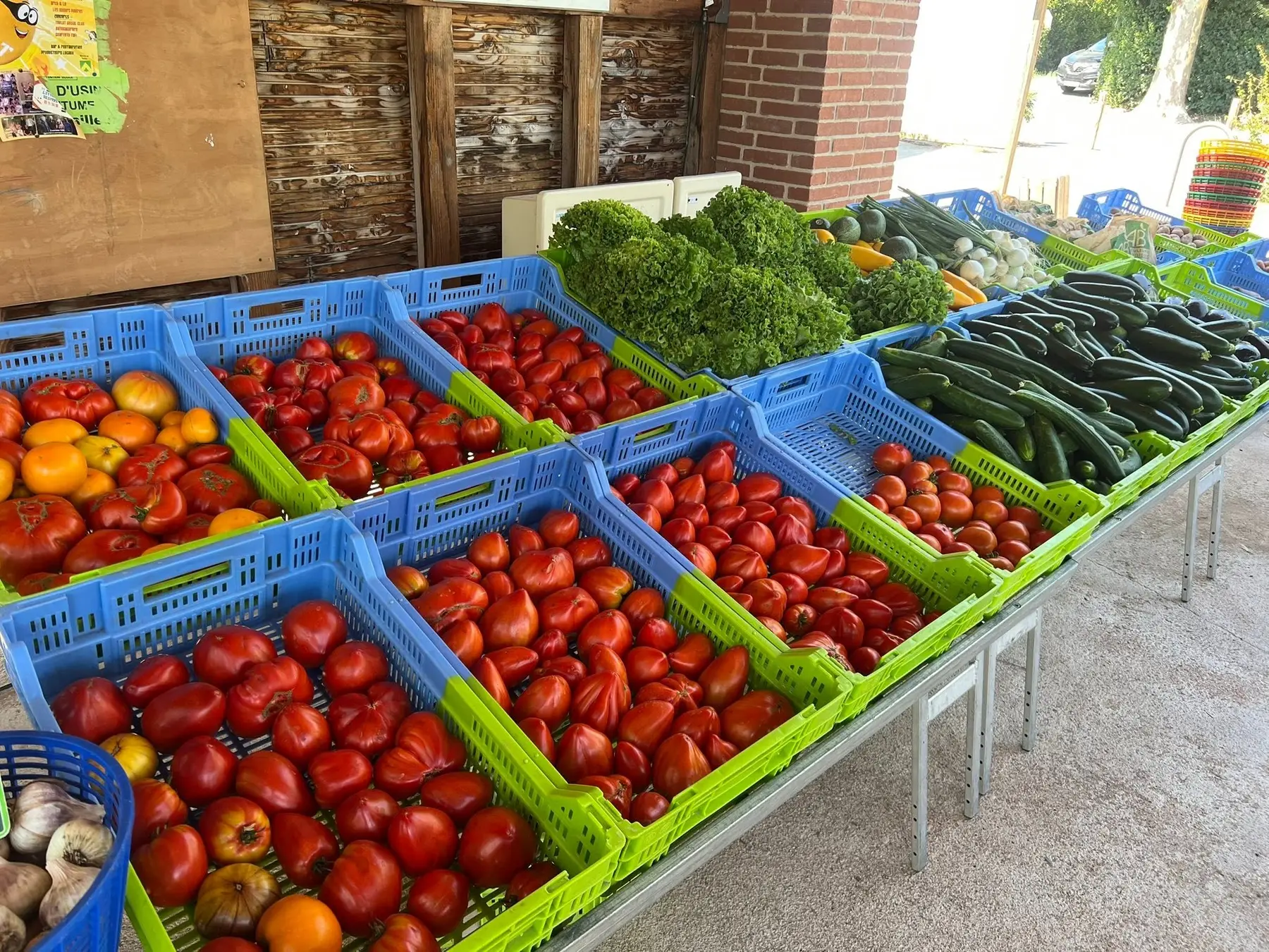 Étal estival des Jardins de Teulat avec tomates, courgettes, salades et autres légumes biologiques