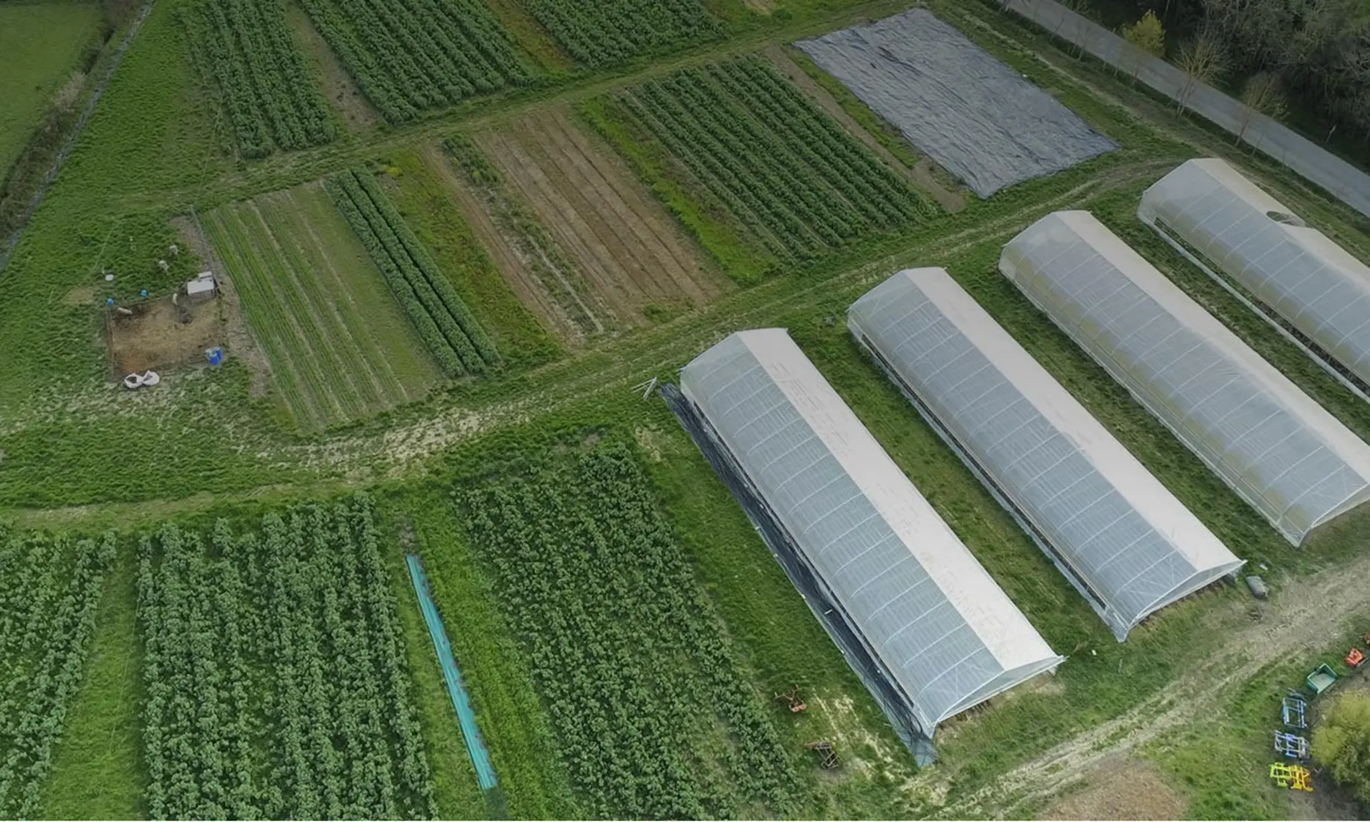 Vue aérienne des serres et des jardins cultivés à Teulat